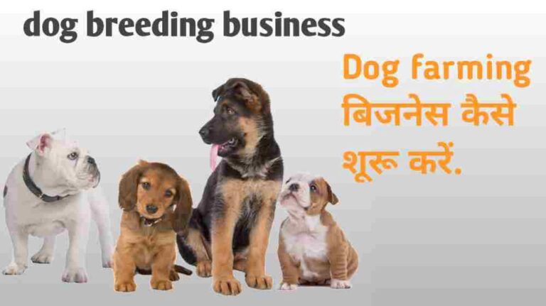 Dog Farming Business Plan in Hindi Dog Farming Business Plan in Hindi